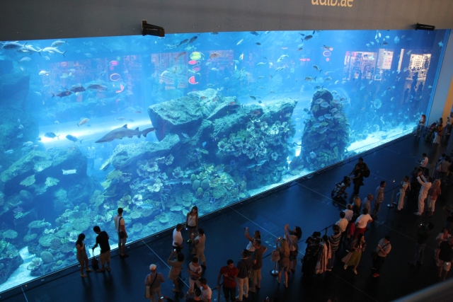 Аквариум в Дубай Молле (Aquarium of the Dubai Mall &amp; Underwater Zoo)