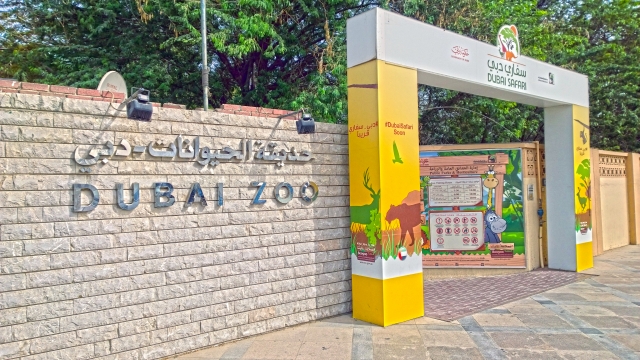 Дубайский зоопарк (Dubai Zoo)