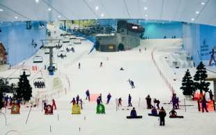 Ски Дубай (Ski Dubai)